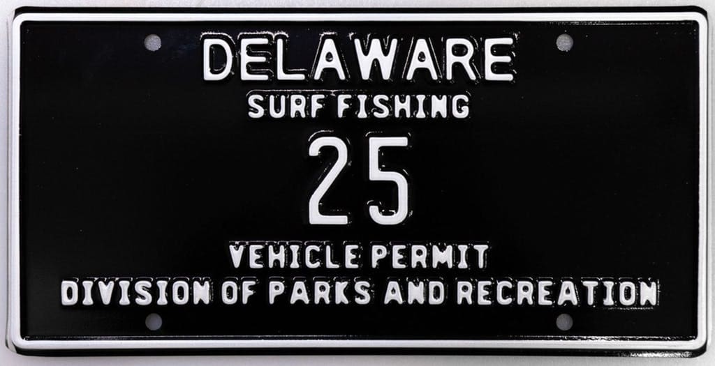 Featured image for “Want a low-digit surf fishing plate? Get ready to bid”