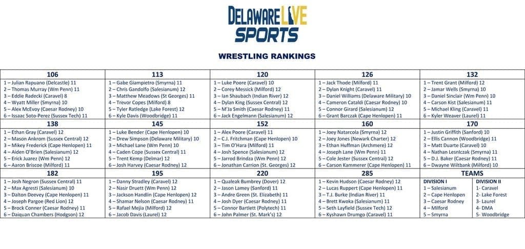Featured image for “Delaware Live individual wrestling rankings week 2”
