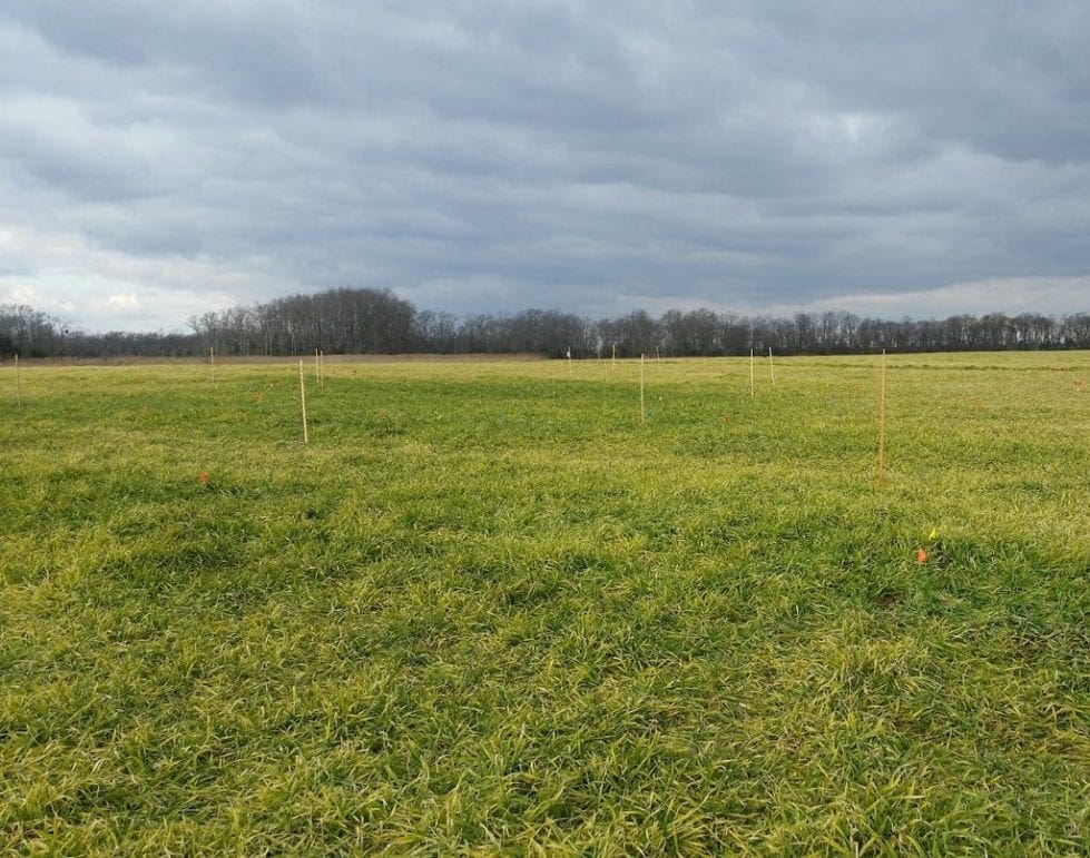 A field is staked out in the search for a burial ground at the John Dickinson Plantatio. (Delaware Division of Historical and Cultural Affairs)