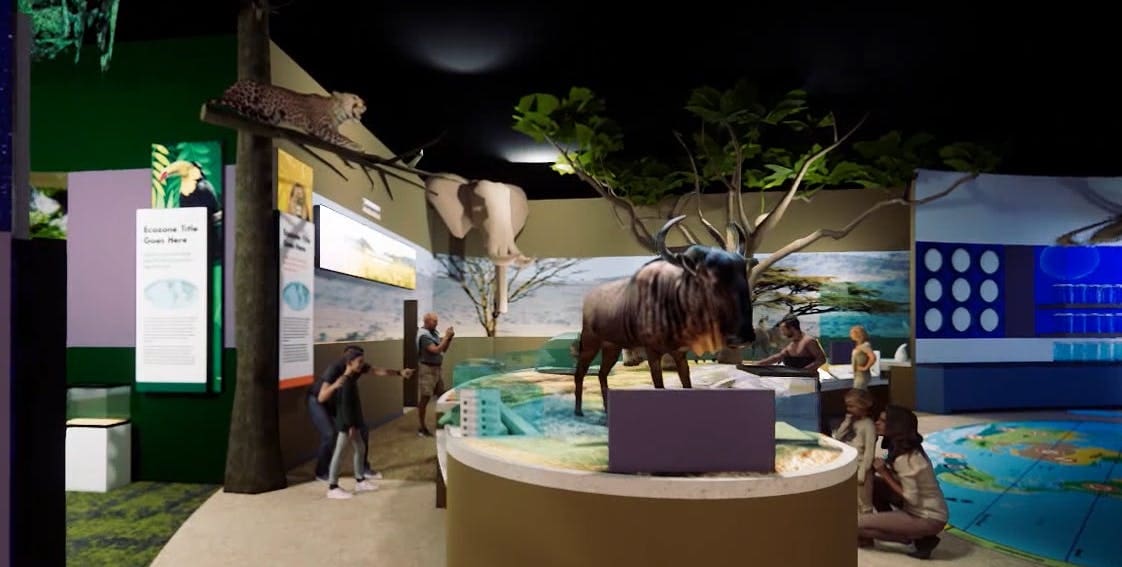 Artist's rendering of the new Delaware Museum of Nature and Science's global gallery.