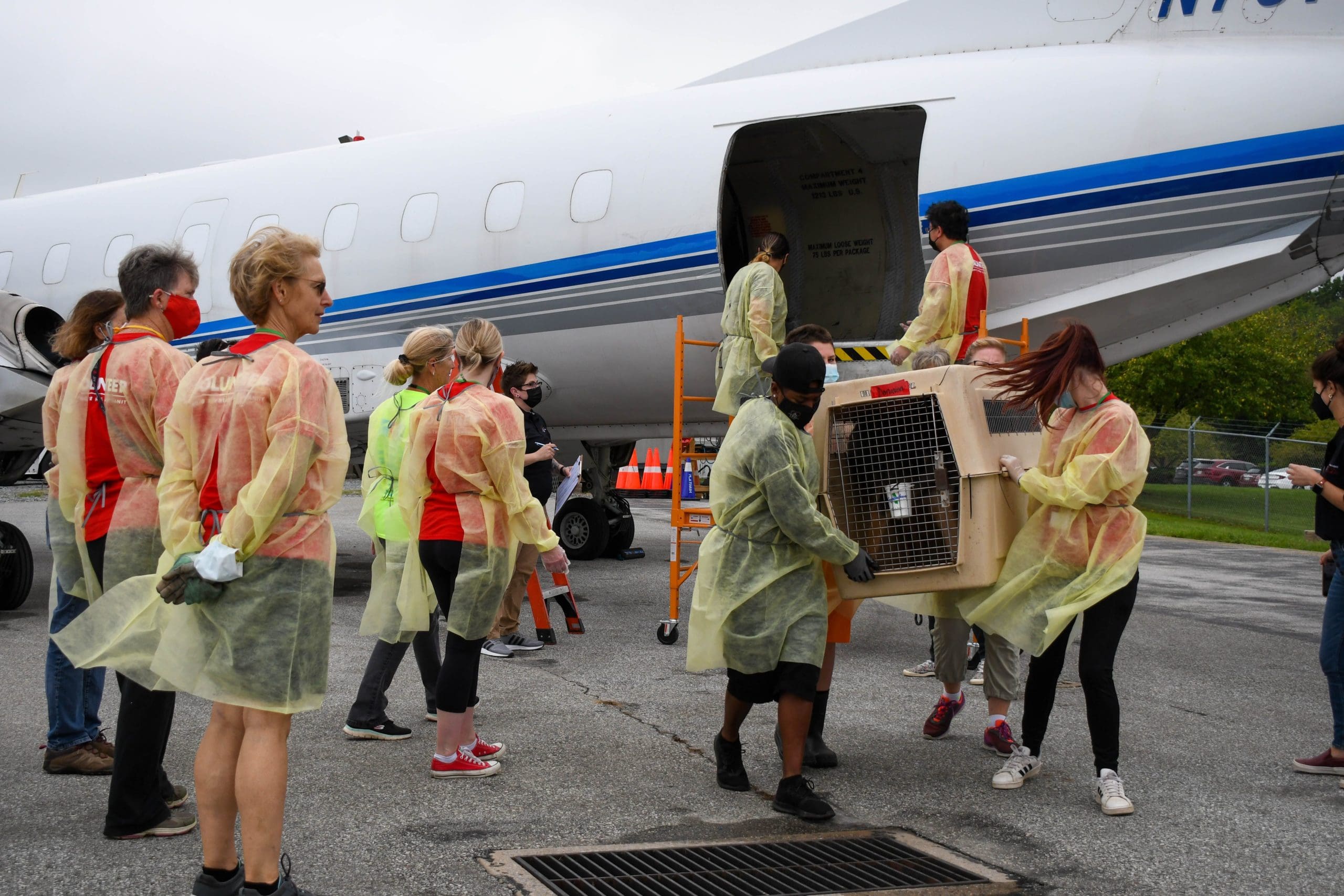 Featured image for “110 animals airlifted from Louisiana to Delaware ahead of Ida”
