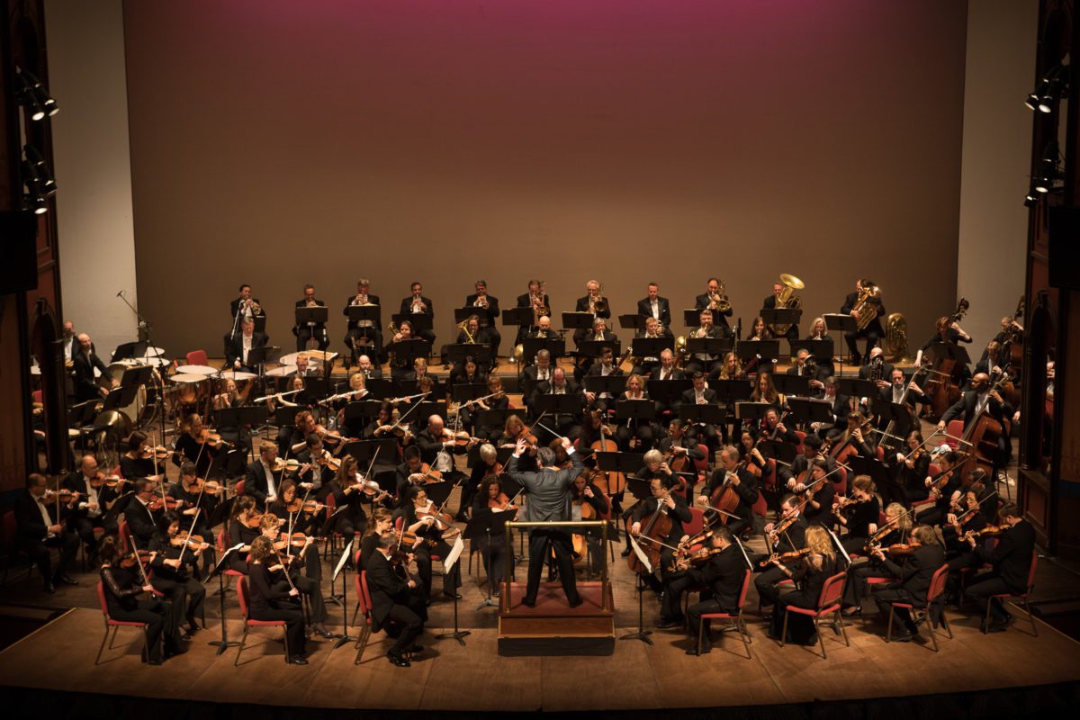 Featured image for “Delaware Symphony Orchestra’s January concert postponed”