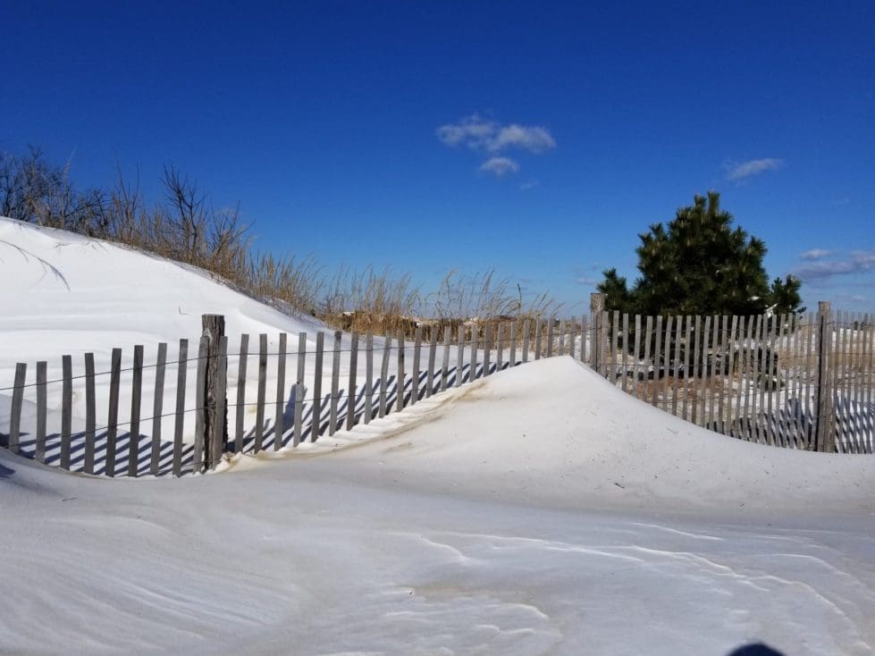 DNREC Reminds Public Do Not Sled or Snowboard on Dunes 2048x1536 1 2