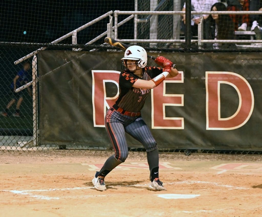 Peyton Pusey at bat for Red Lion Christian Academy photo by Nick Halliday