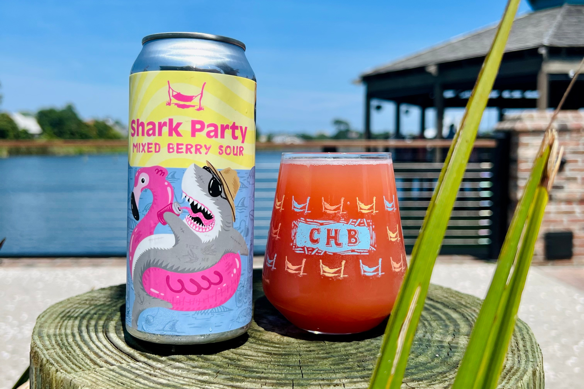 Featured image for “Crooked Hammock to unveil Shark Week-themed beer Wednesday”