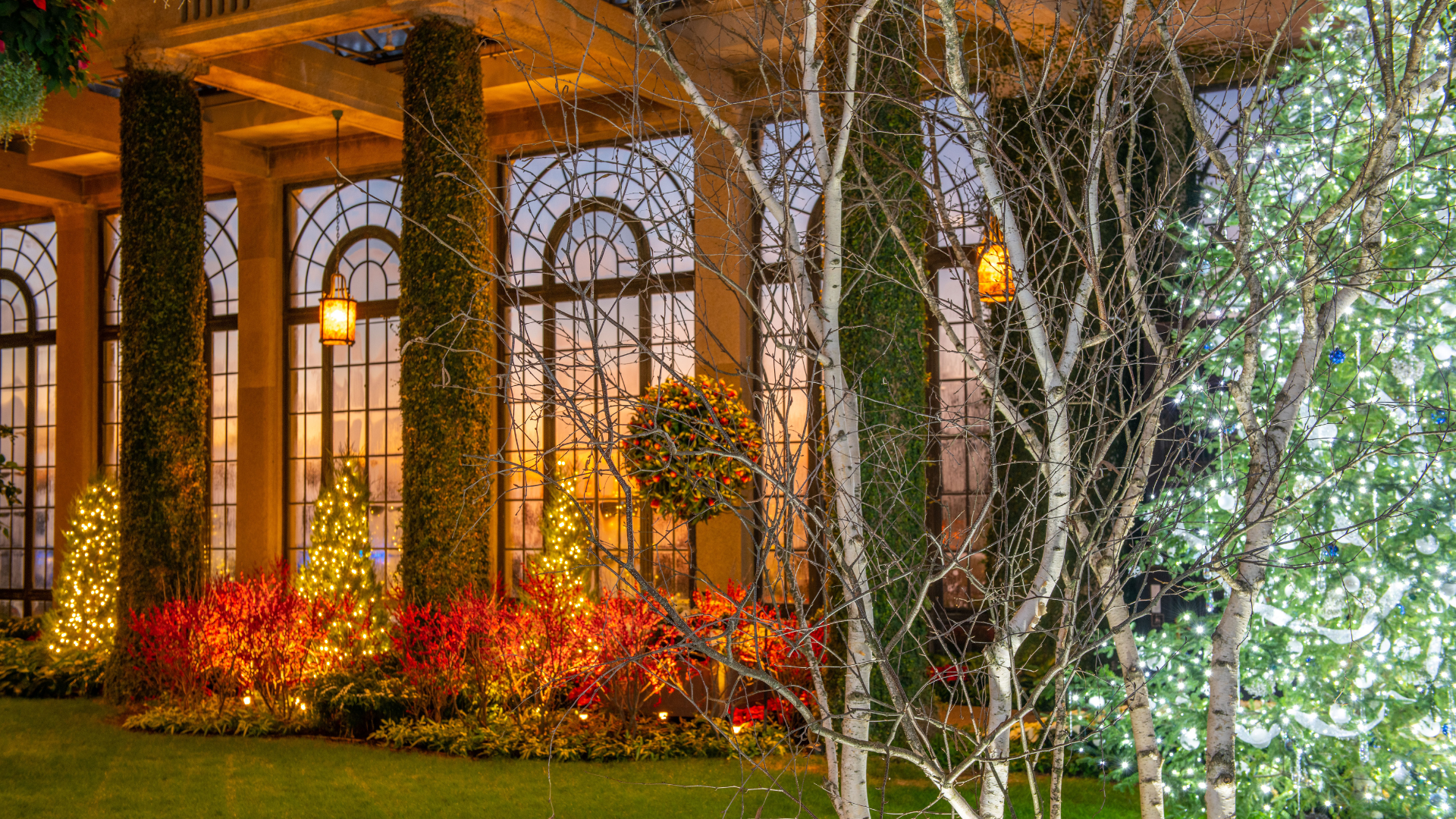 Featured image for “Longwood Gardens to bring holiday cheer, botanical splendor”