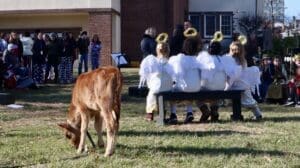 A goat roams around the Ursuline courtyard as four second-graders act as angels in the story of Christmas. (Jarek Rutz/Delaware LIVE News)