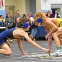 Cam Davis Jr. of Salesianum left and Trevor Copes of Caesar Rodney brought the capacity crowd to their feet Saturday night in their 126 championship match. Davis won a 3 1 decision