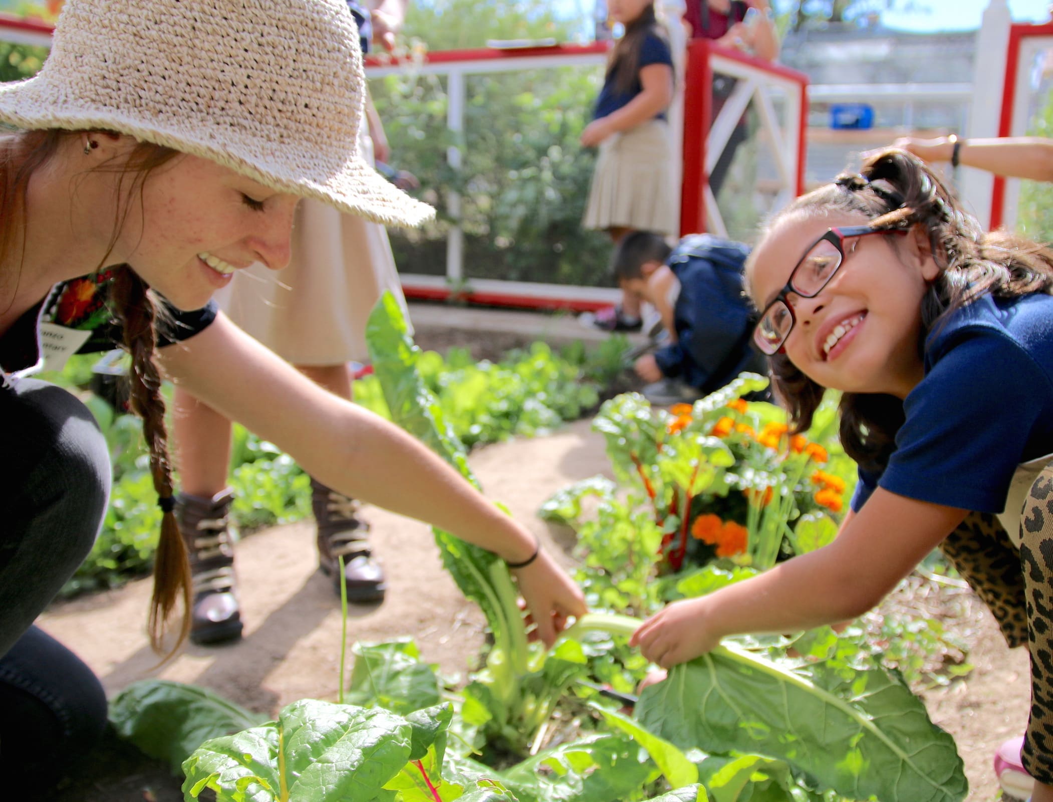 Featured image for “Wilmington elementary wins garden to study nutrition ”