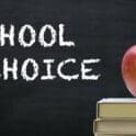 Parents have shared some positives and some preferred changes, as well as what they look for as they navigate through the process of school choice.