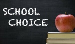 Parents have shared some positives and some preferred changes, as well as what they look for as they navigate through the process of school choice.