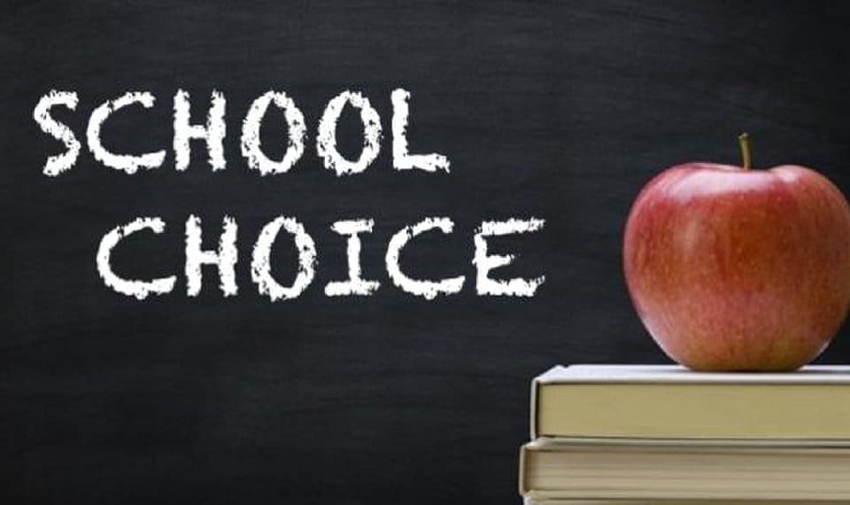 Parents have shared some positives and some preferred changes, as well as what they look for as they navigate through the process of school choice.