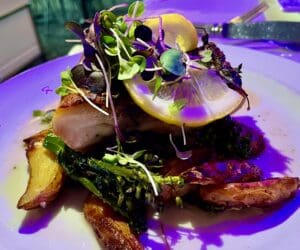 Shorebreak rockfish