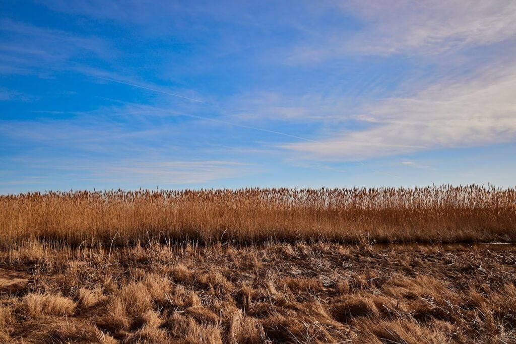 Delaware drought watch