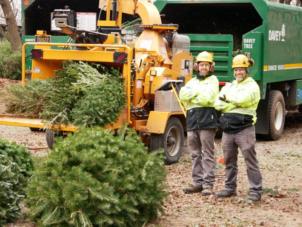 Delaware Roundup: Don't miss these news briefs from Dec. 16-20 5 Delaware Roundup -- Tree Recycling