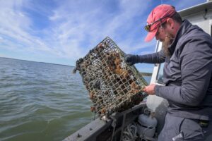 Delaware Roundup: Don't miss these news briefs from Dec. 9-13 9 Delaware Roundup -- Crab pots