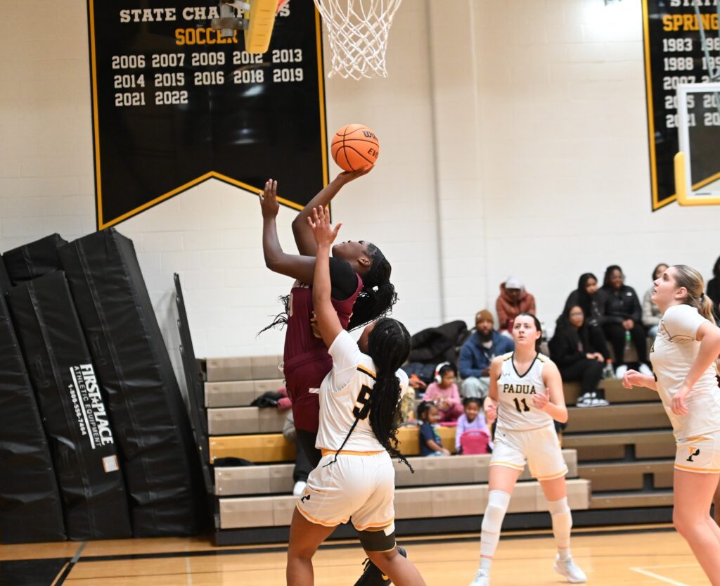 St Elizabeth's Sullivan makes last-second shot in OT to defeat Padua 3 Sullivan -- St. E