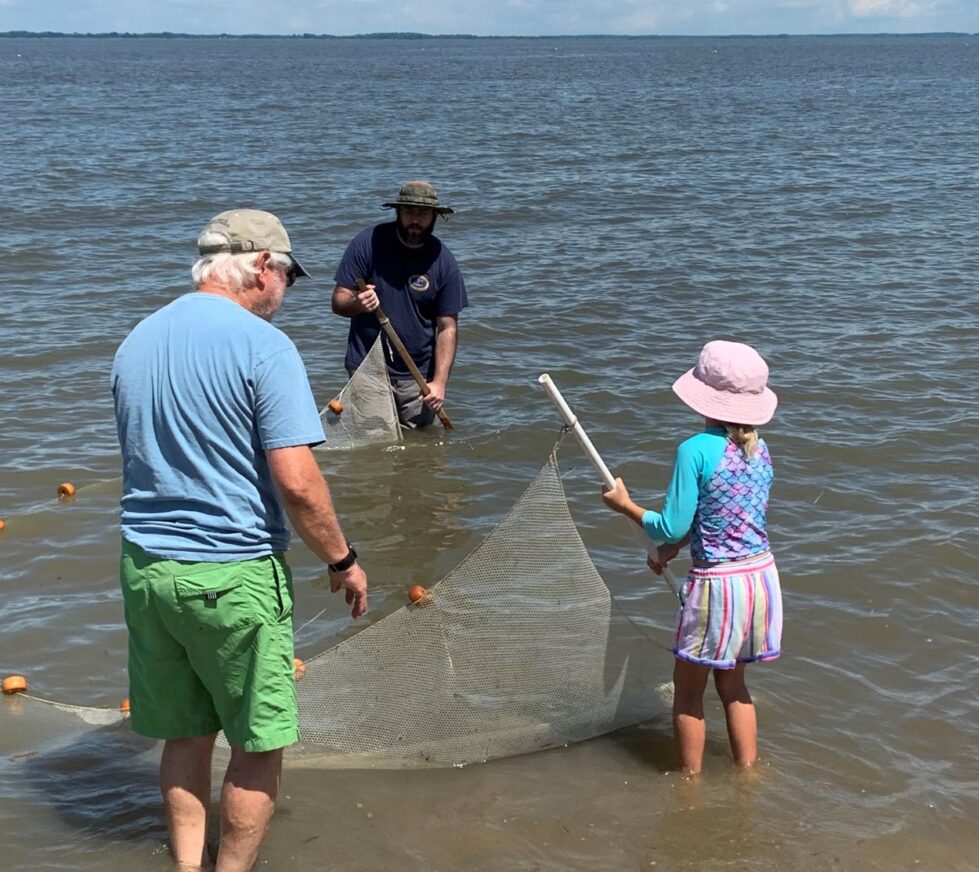 DNREC offers free family-friendly bay exploration program this summer 18 The first Life in the Bay session is Wednesday, June 18.