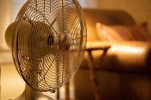 The Mayor’s Office will be giving away fans every Tuesday through Thursday from 11 a.m. to 2 p.m. (Photo by Delaney Van)