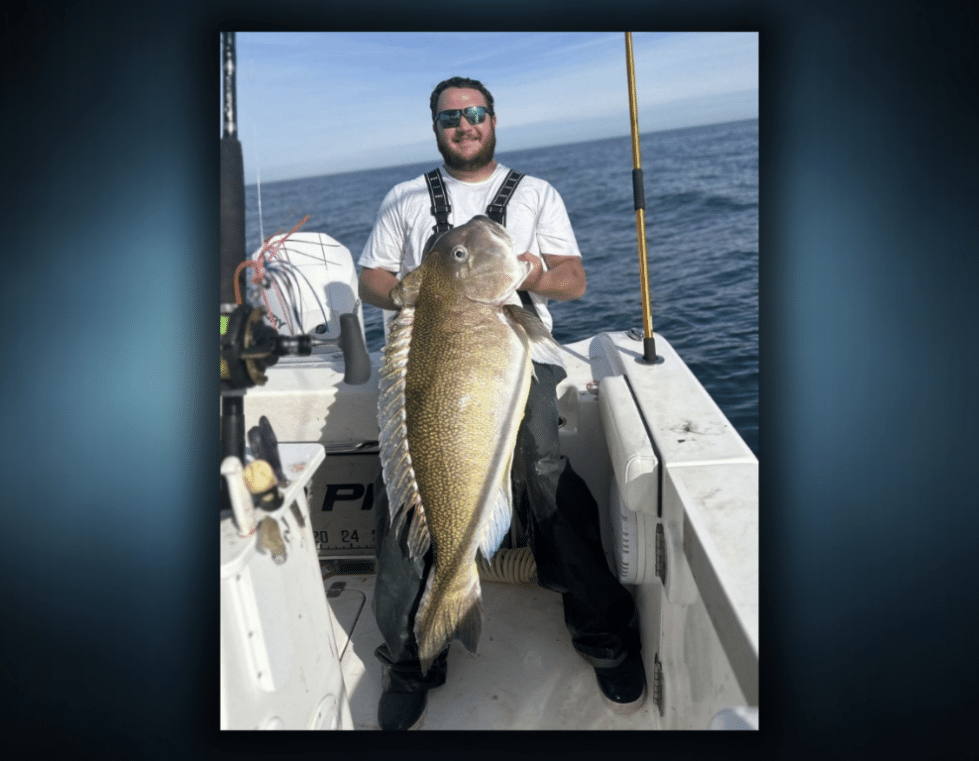 Dover angler lands record-breaking Golden Tilefish off Delaware coast 18 Smith's record-breaking Golden Tilefish was 42.5 inches long and weighed 56 pounds.