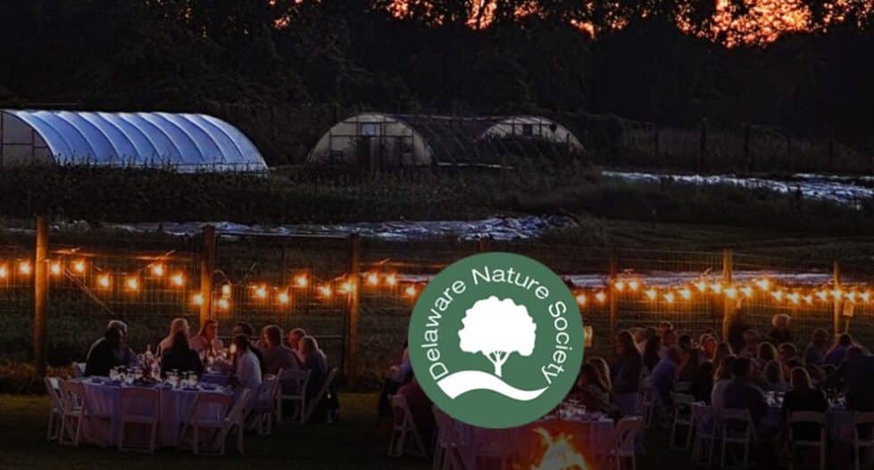 Screenshot 2025 09 24 180632