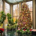 Yuletide Magic Returns to Winterthur Museum