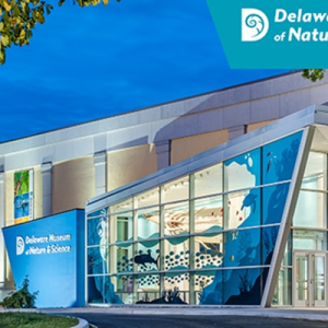 Holiday Break Guide: Top Places for Families to Explore Between Christmas and New Year’s