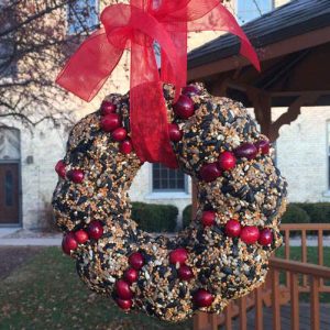 Don’t Forget the Birds This Christmas